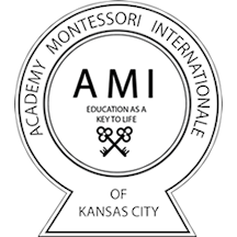 Academy Montessori Internationale logo